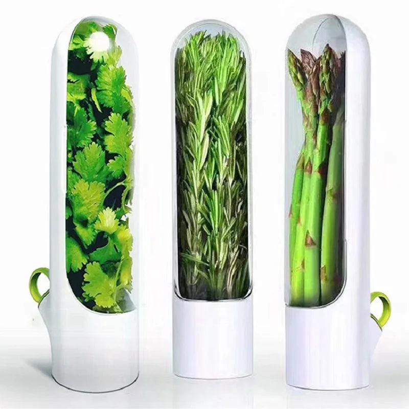 Herb Harmony: Fresh Herb Preservation Container