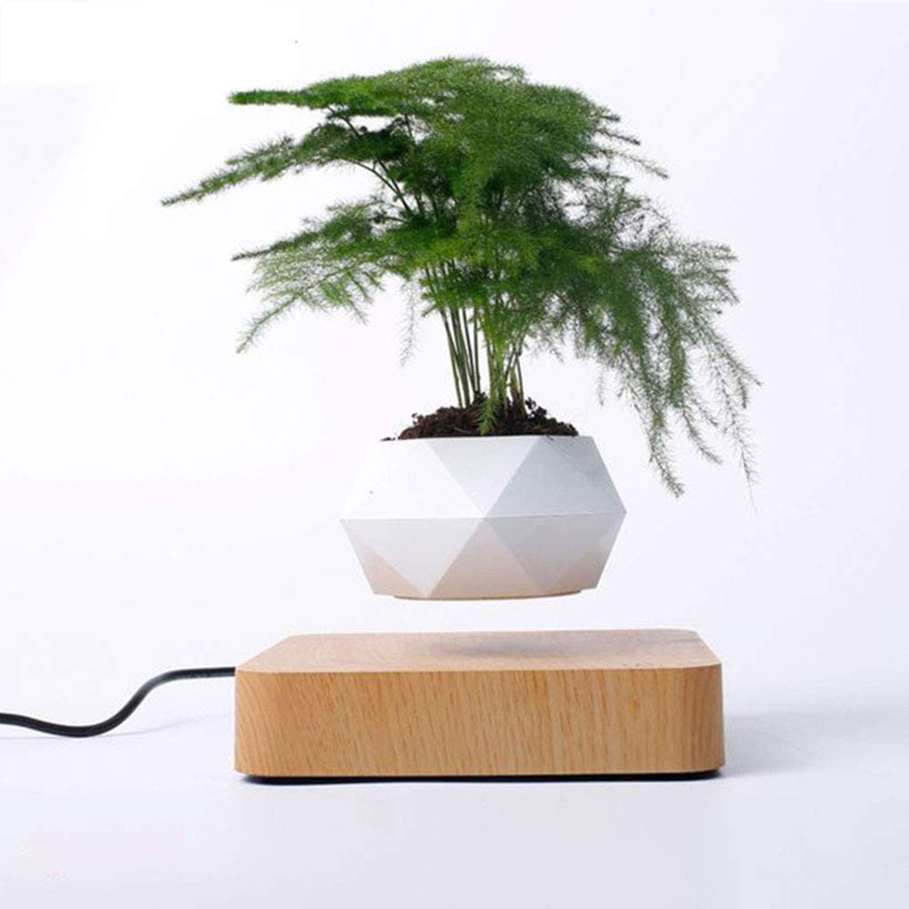 Levitating Air Bonsai Pot – Serene Spaces